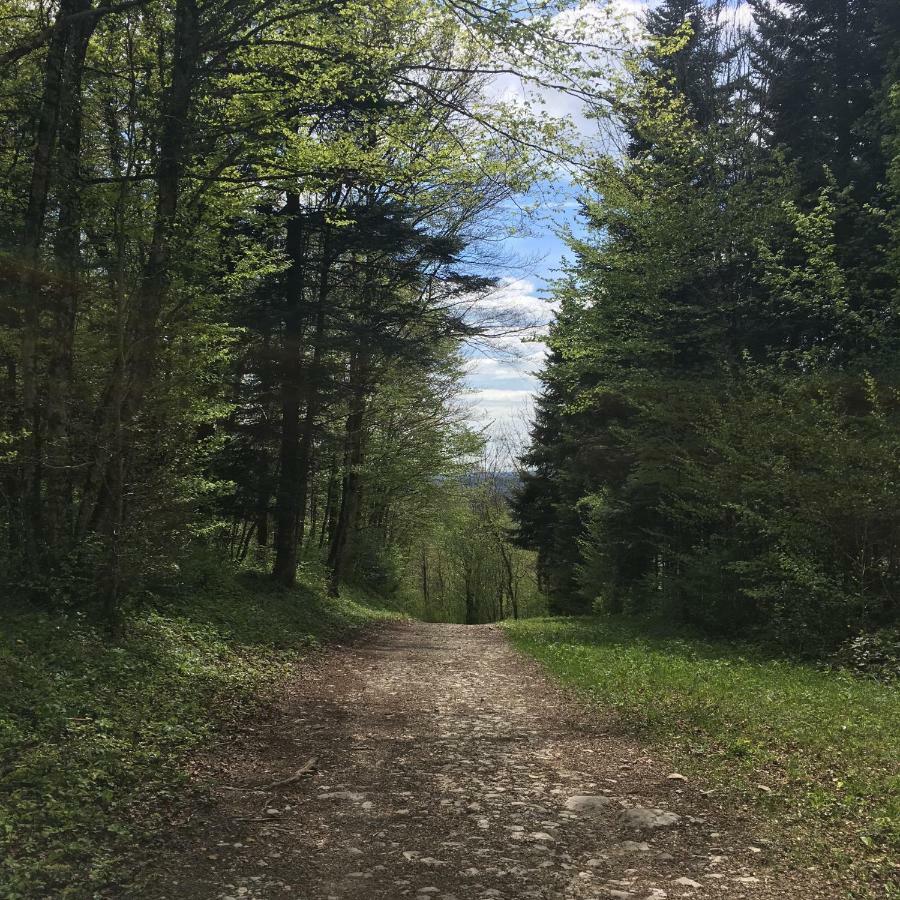 Gite La Janiat Montigny-sur-l'Ain Buitenkant foto